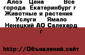 Алоэ › Цена ­ 150 - Все города, Екатеринбург г. Животные и растения » Услуги   . Ямало-Ненецкий АО,Салехард г.